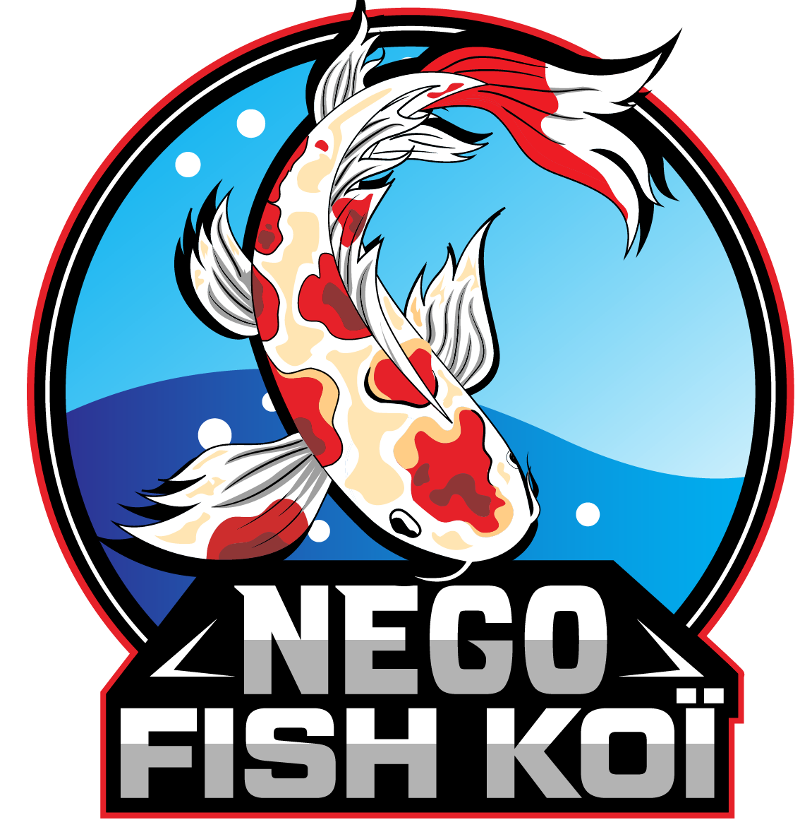 Boutique Spécialisée en Aquaponie - Nego Fish Koi