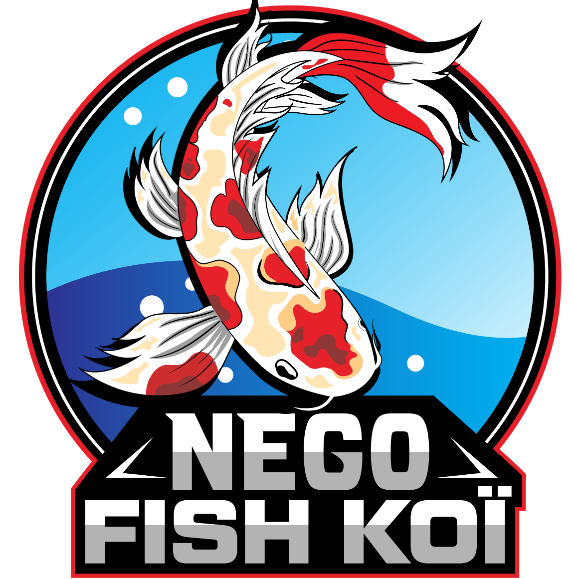 Nego Fish Koï